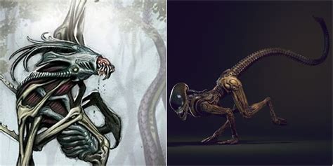 Alien: Xenomorph Life Cycle, Explained