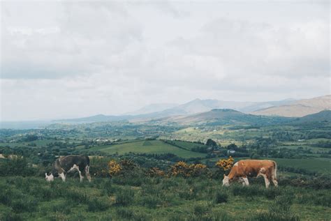 Visit West Cork: Glamping & Hiking at Top of the Rock « | GKM