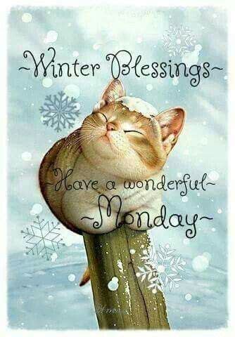 Winter Blessings, Have A Wonderful Monday | Monday morning quotes, Good morning winter, Good ...