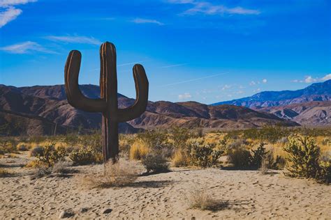 Borrego Springs Metal Sculptures in California 2024-2025 - Rove.me