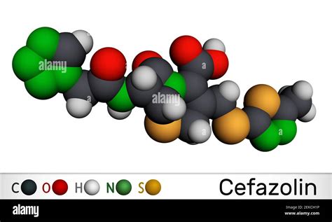 Cefazolin, cefazoline, cephazolin molecule. It is s beta-lactam ...