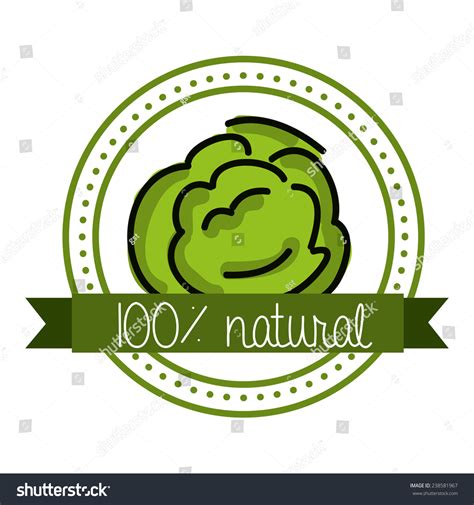 organic food - Royalty Free Stock Vector 238581967 - Avopix.com