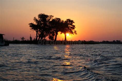 Bank of the Chobe River at Sunset Stock Image - Image of african, sunset: 158699235