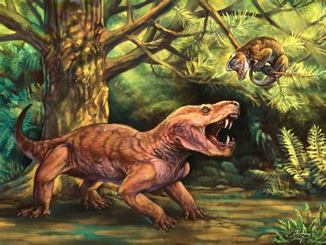 'Monstrous' new Russian saber-tooth fossils clarify early evolution of mammal lineage