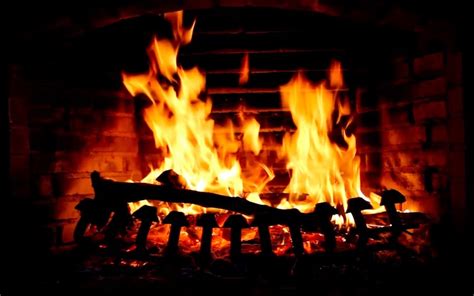 Fireplace Live HD Screensaver for Windows Pc & Mac: Free Download (2023) | Pcmacstore.com