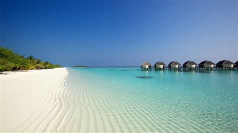 Planning A Trip To Lakshadweep Islands? Here's Everything You Need To Know For Lakshadweep Tour