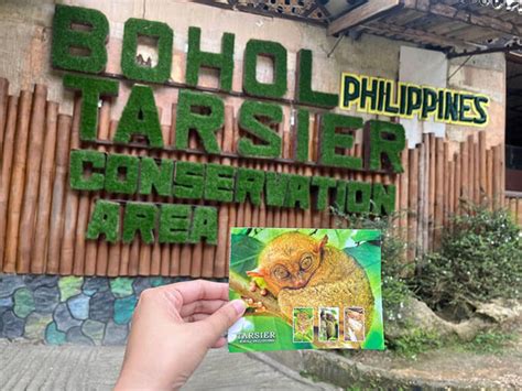 Bilar Bohol Tarsier Sanctuary: A Haven for Endangered Primates