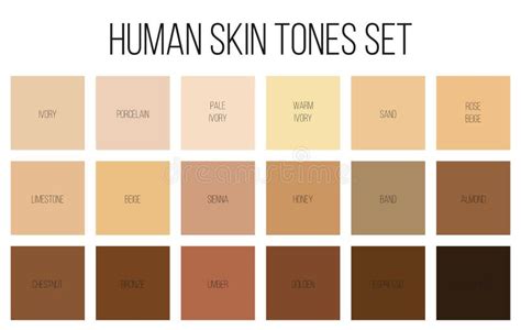 Creative Vector Illustration of Human Skin Tone Color Palette Set Isolated on Transparent ...