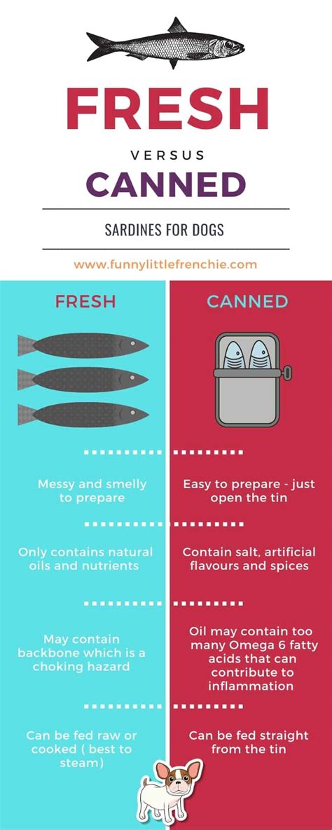 How to feed your Frenchie sardines ( with infographic) - Funny Little ...