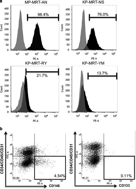 CD146 expression in MRT cell lines and primary tumors. (a) MP-MRT-AN,... | Download Scientific ...