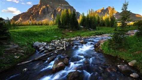 Download River Green Meadows Nature Photography Wallpaper | Wallpapers.com