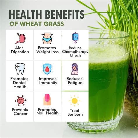 Patanjali Wheat Grass Powder - Ingredients, Composition, Properties ...