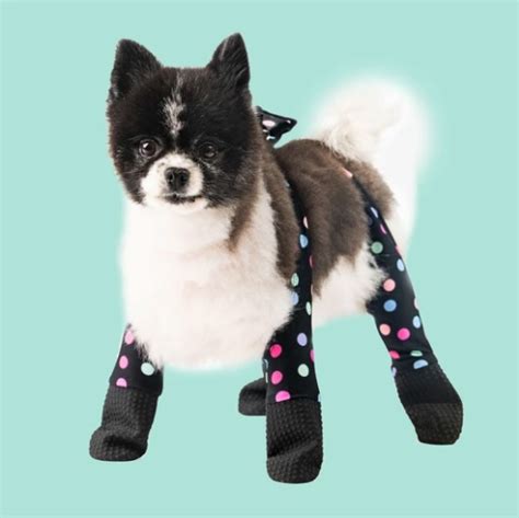 Walkee Paws are the next big thing in dog booties | LaptrinhX