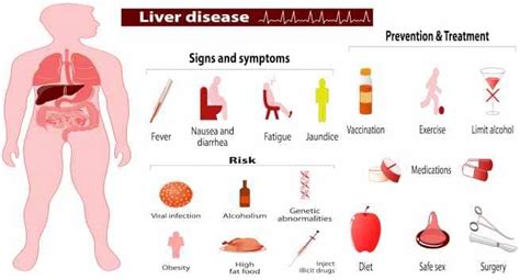 Liver disease - Health Tips, Liver disease Health Articles, Health News | TheHealthSite.com