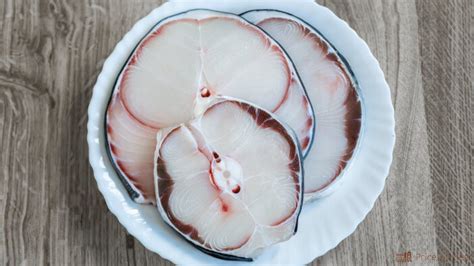 10 Facts About Shark Meat You Need to Know to Eat It Safely