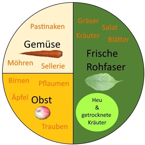 Das optimale Kaninchenfutter - » Wie man es richtig macht!