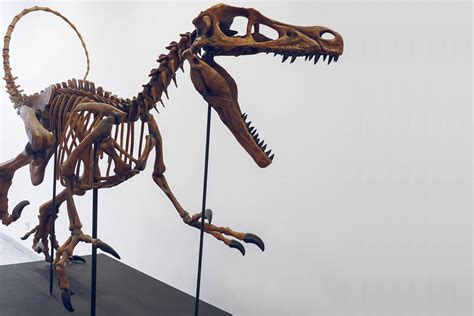 3D printed dinosaur for museum purposes | voxeljet