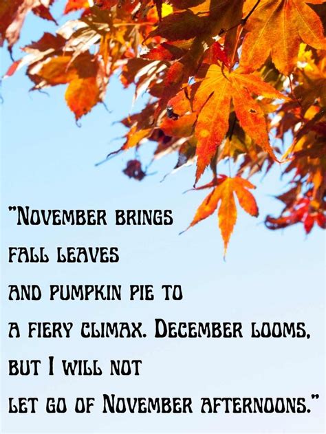 Ultimate Hello November Quotes to Embrace Fall - Darling Quote