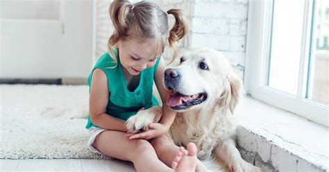 Best Dog Breeds For Kids — Pumpkin®