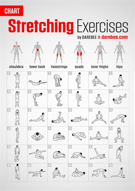 Stretching Exercises | Chart