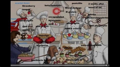 Streptococcus Pyogenes. Sketchy + Kaplan - YouTube