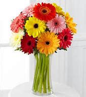 Perth Florist Perth Online Florist – Flower Delivery in Perth