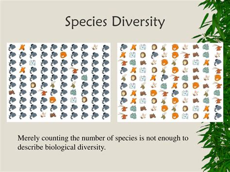 PPT - Chapter 7: Biological Diversity PowerPoint Presentation, free download - ID:1986830