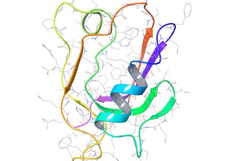 in silico drug design - Receptor structure generation and refinement