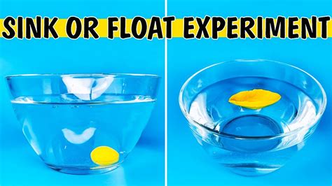 Science Sink Or Float