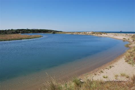 Visit Ravenna Beaches: Best of Ravenna Beaches Tourism | Expedia Travel Guide