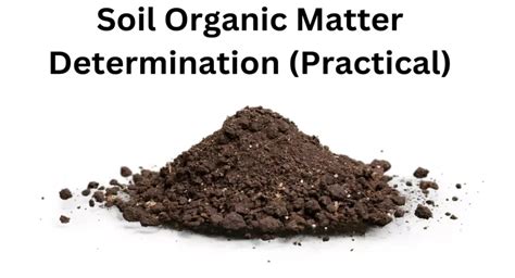 Soil Organic Matter Determination (Practical) » BIOLOGY TEACH