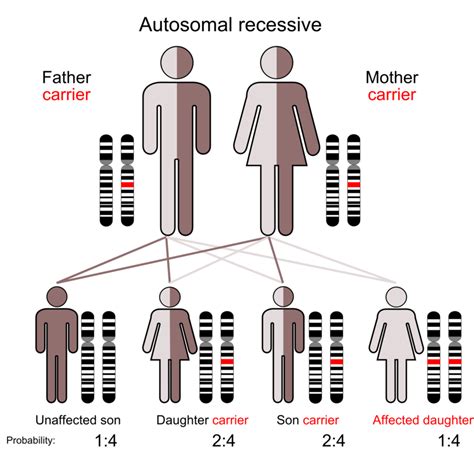 Golden blood: the rare and mysterious Rh-null blood type