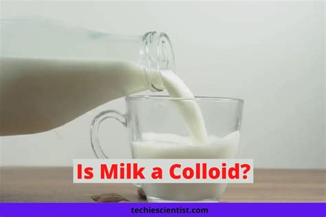 Is Milk A Colloid? Why? - Techiescientist