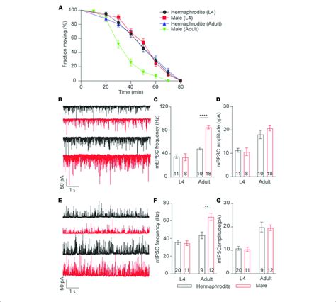 | Sex-specific calcium sensitivities of neurotransmitter release at the... | Download Scientific ...