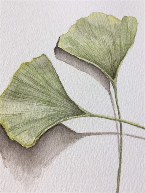 Ginkgo Leaf Watercolor Print-simple Leaf Watercolor-leaf Print-ginkgo Leaf-nature Decor - Etsy