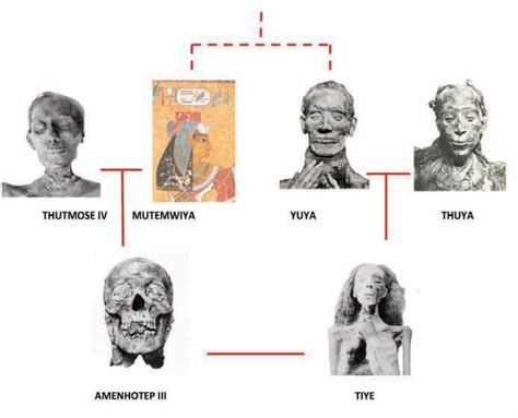 Reasons for retesting the Tutankhamun family DNA – The Past