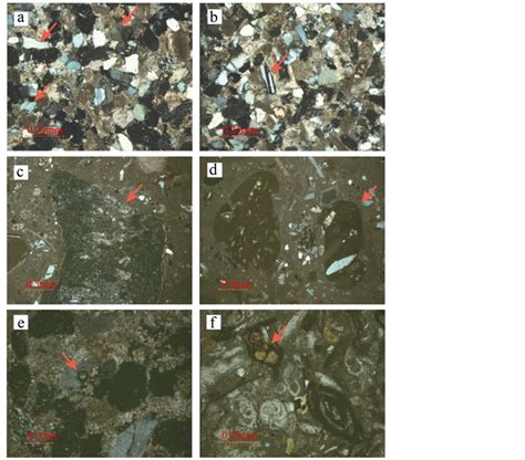 Facies Analysis, Depositional Environment and Diagenetic Features of the Qom Formation in the ...