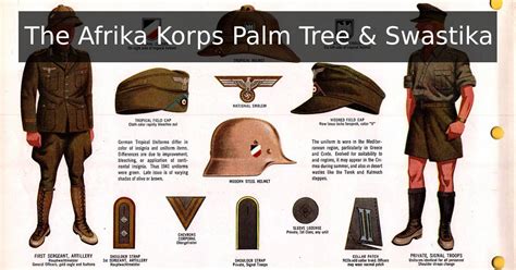 The Afrika Korps Palm Tree & Swastika - WW2 Helmets™