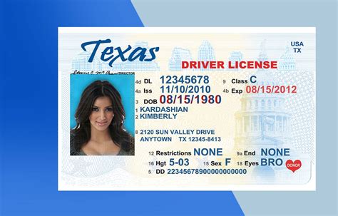 Texas Drivers License PSD Template – Download Photoshop File