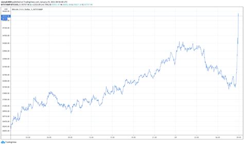 Bitcoin Market Update for 29 Jan 2021: Elon Musk, Ray Dalio, Price ...