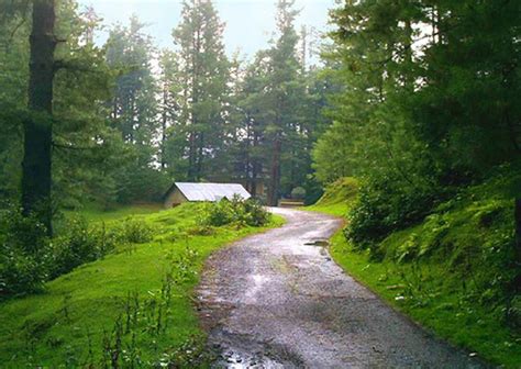 Forests in Pakistan