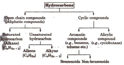 Hydrocarbons and Methods of Preparation of Alkanes - Hydrocarbons, Class 11, Chemistry Class 11 ...