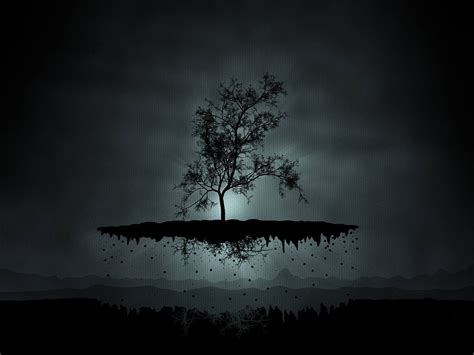 Black images Black Tree Wallpaper HD wallpaper and background photos ...