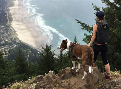 Oregon Coast Trail Thru-Hiking Guide: What to Know Before You Go