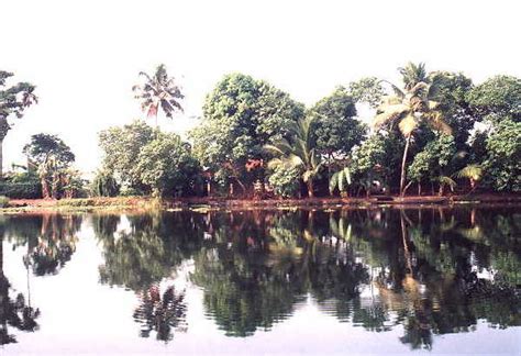 The Backwaters of Kerala - Photos