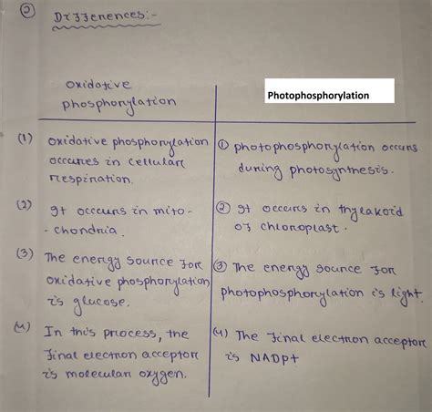 [Solved] Oxidative phosphorylation and photophosphorylation resemble ...