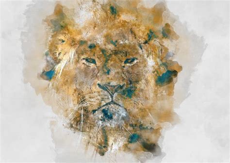 Lion Watercolor Illustration. Stock Illustration - Illustration of celebrate, hunting: 71128733