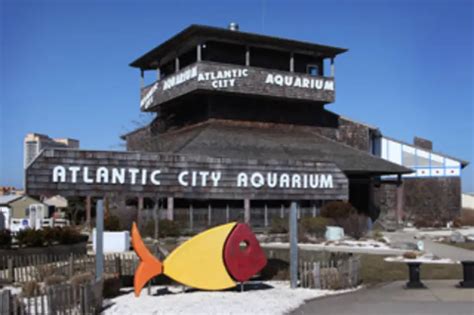 Why Is Atlantic City Aquarium Closed? - Aquariumia