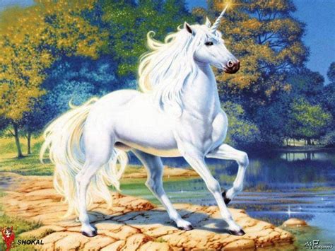 White unicorn illustration, fantasy art, unicorn HD wallpaper | Wallpaper Flare