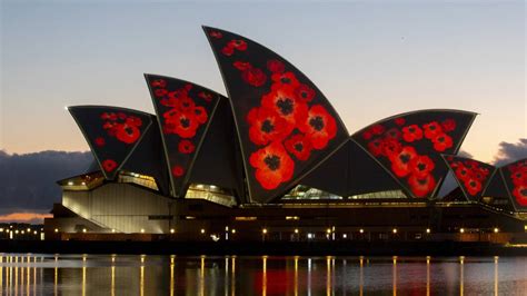 Sydney Opera House lights up with poppies for Remembrance Day | OverSixty